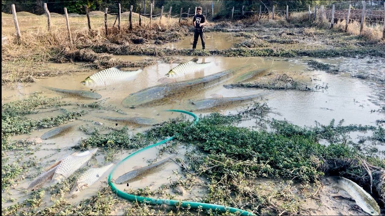 The most popular fishing spot in the Choron Pot area🐟🐬🐋