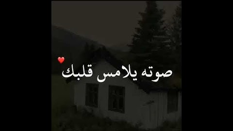 قرآن كريم بصوت وديع اليمني | حالات واتس اب دينية | مقاطع دينية قصيرة