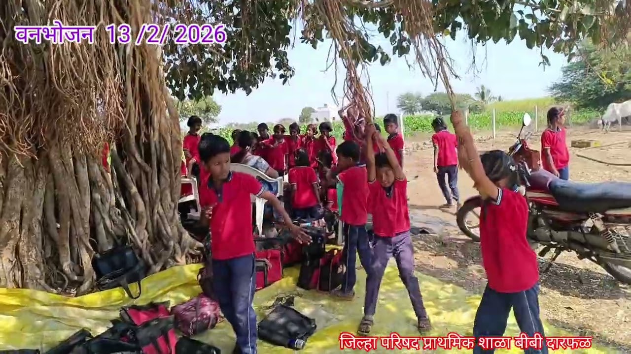 वन भोजन 13/ 2/ 2026@bibi darphal जि . प. प्रा. शाळा बीबी दारफळ 