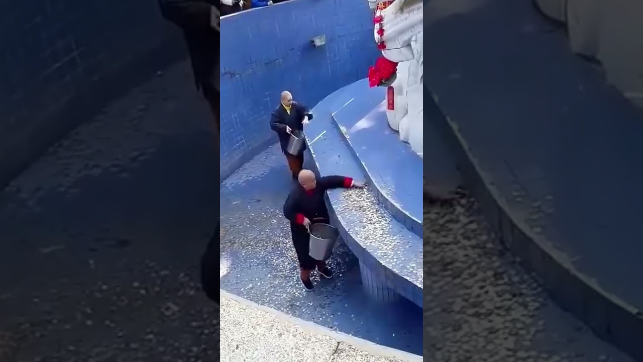 Their Wish Came True... For THEM! 😂💰 Wishing Well Cleanup! 