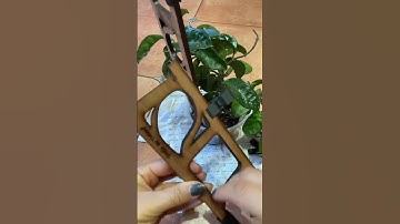 Adding onto my trellis! #fallintoshorts