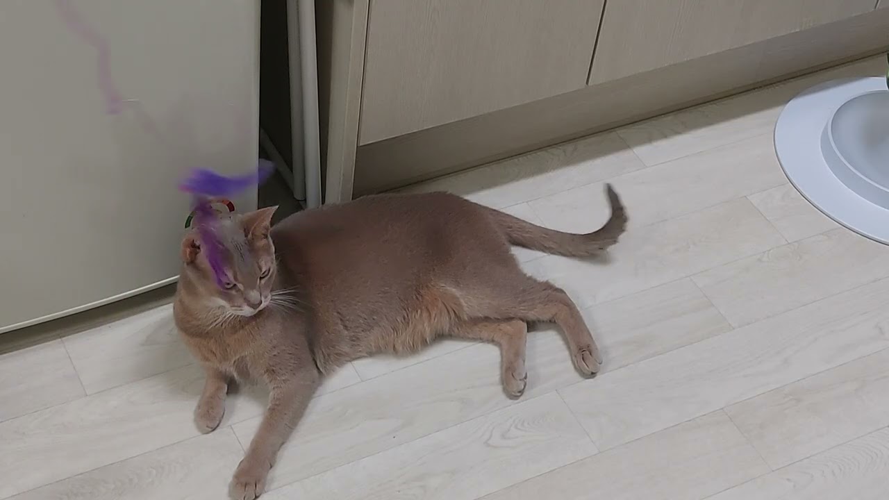 편식쟁이 또오~~~!