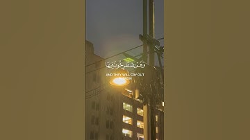 وهم يصطرخون فيها ربنا أخرجنا - ياسر الدوسري تلاوة مؤثرة