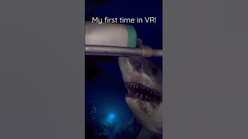 Don’t play this your first time in VR! #vr #psvr #shark