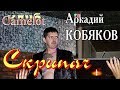 Аркадий КОБЯКОВ - Скрипач (Концерт в клубе Camelot)