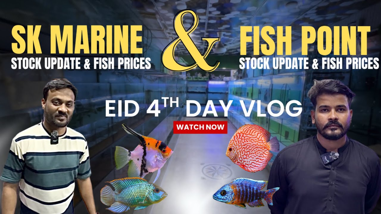 SK Marine & Fish Point Fish Stock with Prices | Eid Special Vlog ...