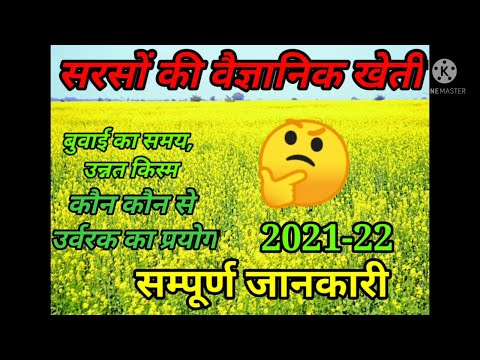 वीडियो: घर पर बीज से गेरियम (31 फोटो): पेलार्गोनियम कैसे उगाएं? घर पर पीट की गोलियों में बुवाई का समय और देखभाल। रोपाई को सही तरीके से कैसे उगाएं और रोपें?