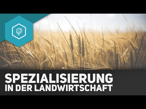 Video: Was ist Monokultur in der Landwirtschaft?