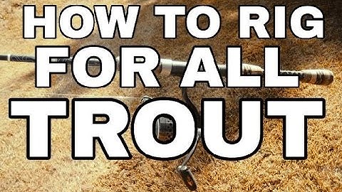 How To Rig Up Your Trout Spin Rod for All Water Conditions & Fishing Styles
