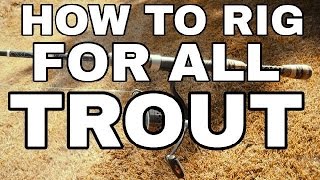 How To Rig Up Your Trout Spin Rod for All Water Conditions & Fishing Styles