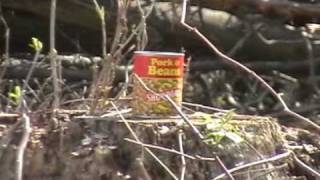 Pork & Beans