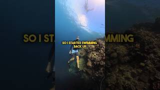 Freediving A Big Black Hole With The Insta360 Invisible Dive Kit