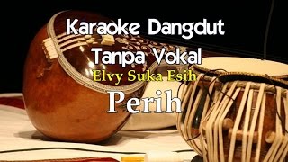 Karaoke Elvy Sukaesih - Perih