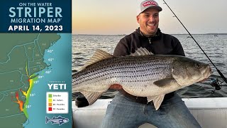 Striper Migration Report | April 14, 2023