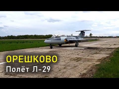 Аэродром ОРЕШКОВО. Полёт Л-29 / Airfield ORESHKOVO. L-29 Flight