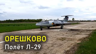 Аэродром ОРЕШКОВО. Полёт Л-29 / Airfield ORESHKOVO. L-29 Flight