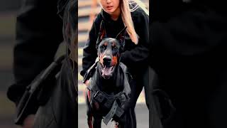 दुनिया के 4 सबसे ताकतवर और खतरनाक कुत्ते 😨🤯। #facts #dogs ##shorts