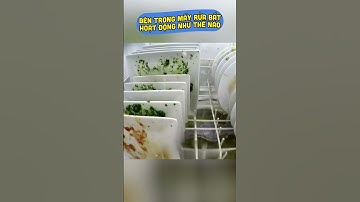 Chui vào trong máy rửa bát xem nó làm việc như thế nào
