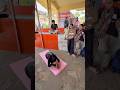 Pasimotanasan yoga Samod famous Balaji #viral #trending #talent #shortsviral #yogaskills