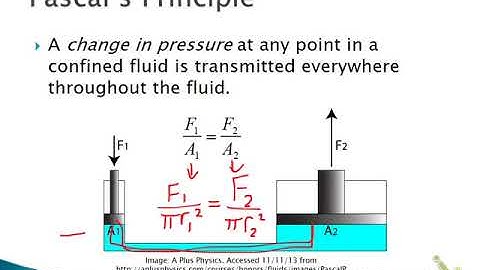 Module 7 Video 1: Fluids