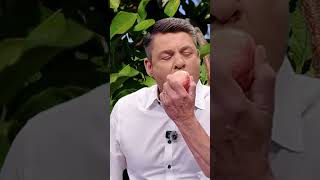 Two Connecticut orchards land on USA Today's top places for apple picking in the country
