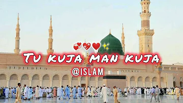 Tu kuja man kuja❤💖💞beautiful✨😍#naat#naat2024 #naatsharif #naaterasool #naatepaak