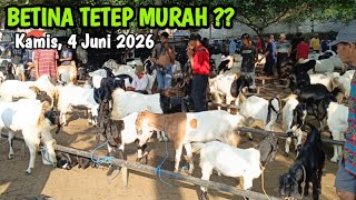 700 Ribu Update Harga Kambing Terbaru Hari Ini Di Pasar Pahing Kdanak Trenggalek hargaternak