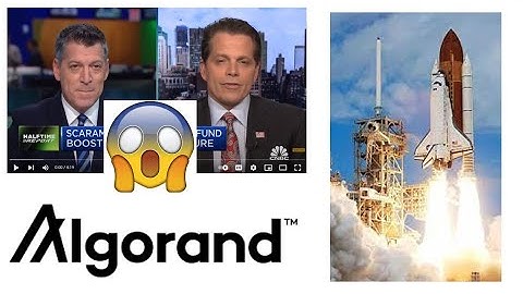 "Algorand can flip ETH" -Scaramucci - WATCH this video!!