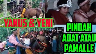 acara pindah adat diki atau pamalle suku beijelo ada umbu sumba NTT ¶ yanus dan yeni