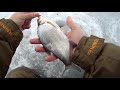 Хорошая погода чтобы потягать РЫБКУ! Рыбалка в Воронеже на водохранилище. 2021.
