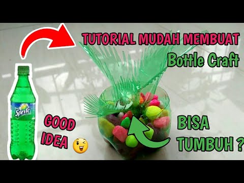 cara-membuat-tanaman-hias-dari-botol-bekas---tanaman-hias-dari-botol-bekas-by-eci