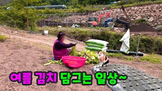 Making Korean kimchi for summer😋