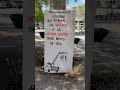 El fin de la libertad – urban art video, urban art clip, Francisco de Pájaro