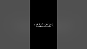 أذكر الله | سورة الزخرف الأية 77-80 القارئ ياسر الدوسري #quran #ياسرالدوسري