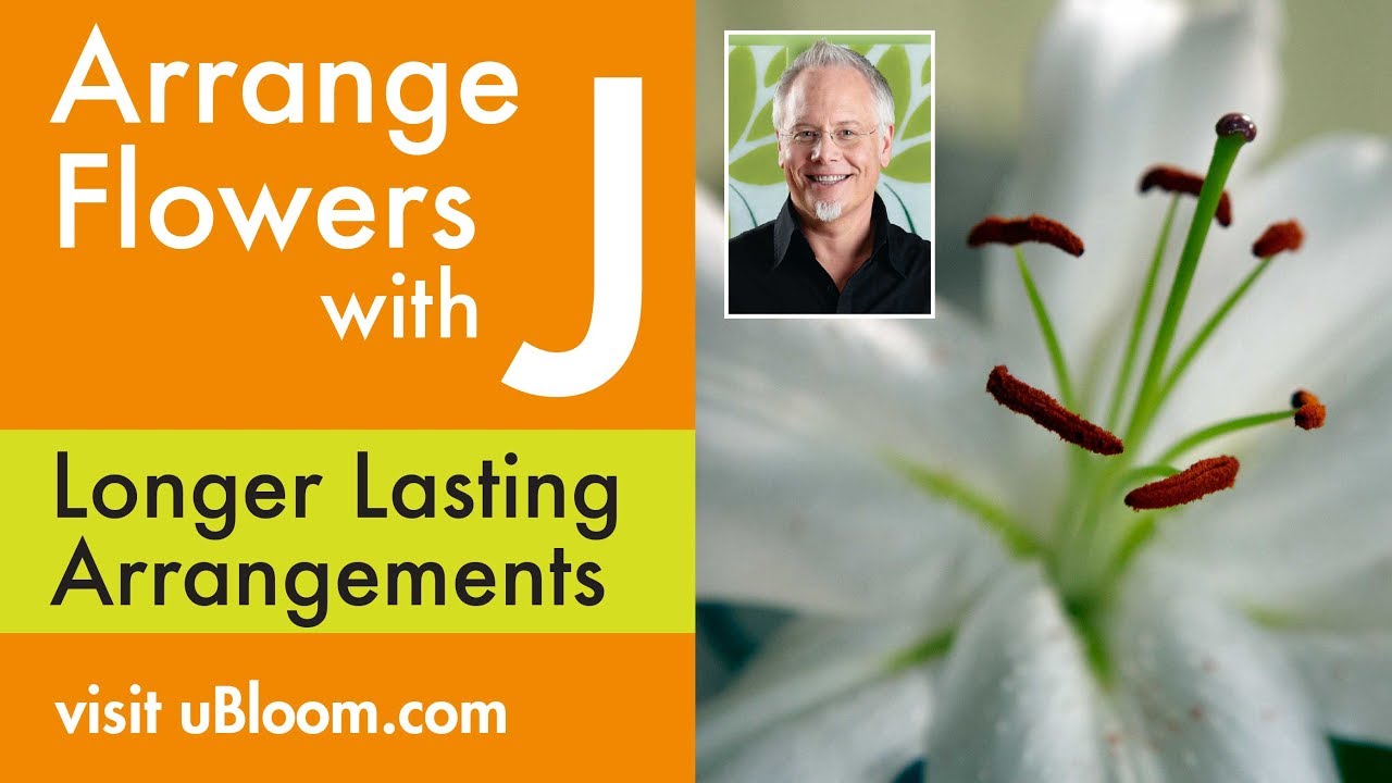 How to use Anti-transpirants on your Fresh Flower Arrangements for longer  lasting flowers! 
