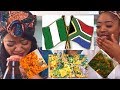 PART 1 | South Africans Try Nigerian Food & Drinks for the first time | South African Youtubers