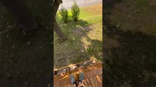 Backrooms Noclip Test