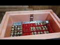 Инкубация перепелов в самодельном инкубаторе