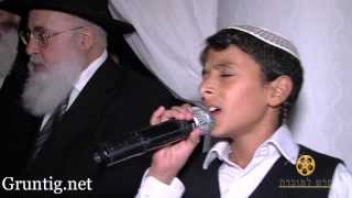 Vignette de la vidéo "Uziya Tzadok Sings Kochav Meir Live At Chuppah"