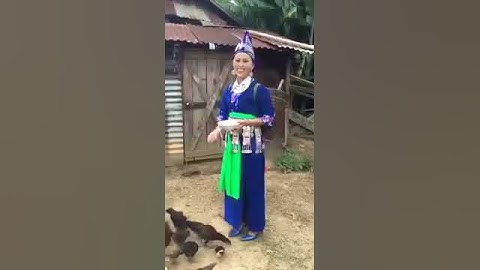 Nkauj hmoob toj siab pub mov qaib noj