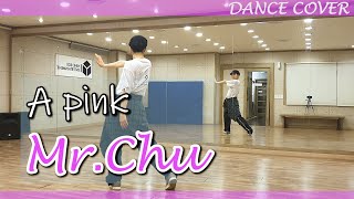 Apink (에이핑크) - Mr.Chu 미스터츄 | 안무 거울모드 Mirrored Dance Cover