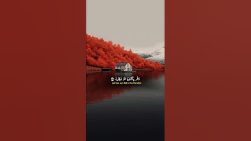 سورة النمل || القارئ الشيخ ياسر الدوسري||❤️😴🎧