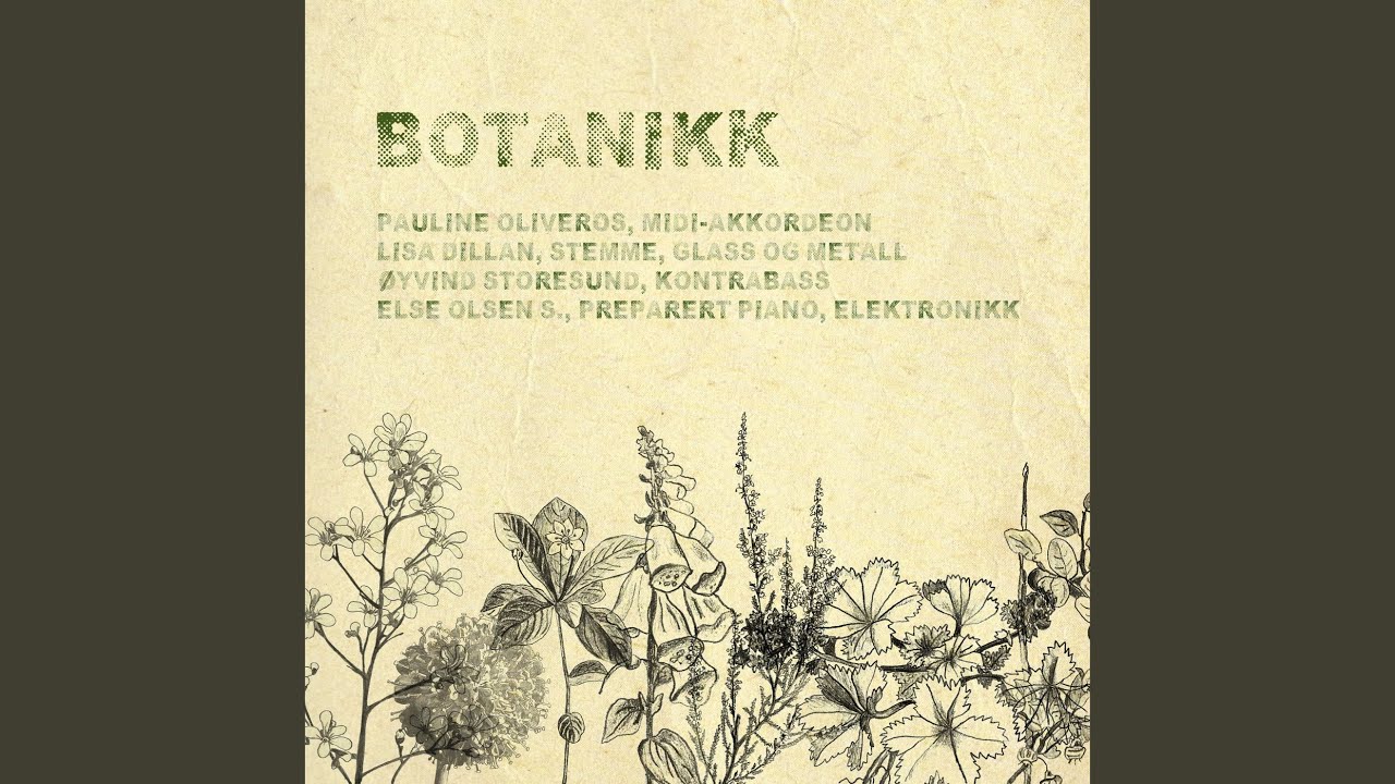 Ver Saxifraga Cotyledon en YouTube Ver Saxifraga Cotyledon en YouTube