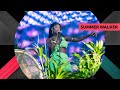 Summer Walker - Session 32 (Wireless Festival 2022)