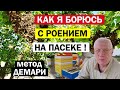 КОГДА ЛУЧШЕ применять метод Демари? Почему роение это удар по силе семьи?