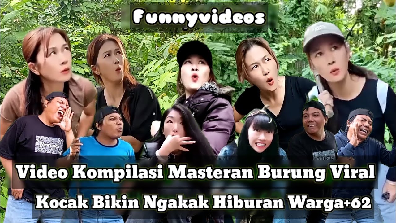 masteran burung viral kocak bikin ngakak hiburan warga+62 funnyvideos