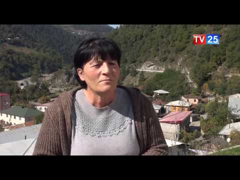 „ლეიბორისტულ პარტიას“ მაღალმთიანი აჭარიდან მაჟორიტარი დეპუტატობის კანდიდატი აღარ ჰყავს