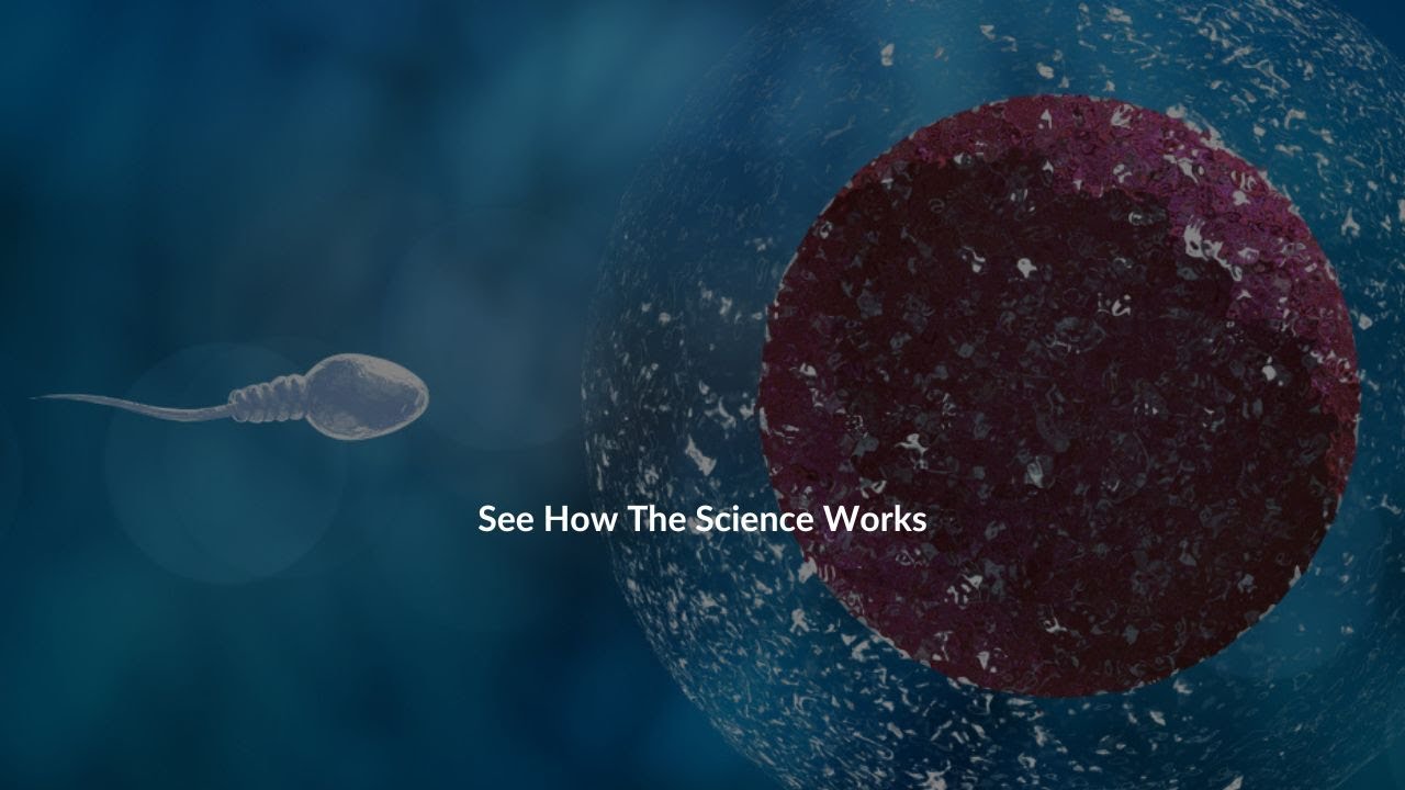 Insights Into Male Fertility Understanding Capacitation SD