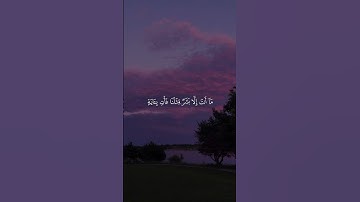 ماتيسر من سورة الشعراء بصوت #ياسر_الدوسري #القرآن_الكريم #سورة_الشعراء #quran #yaseraldosari