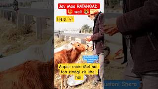 Help 🤗 The most viral shorts #shorts #shortsviral #viralshorts #trendingshorts #help #animals